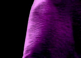 Debora Barnaba – Galleria Ghiggini Debora Barnaba - Galleria Ghiggini